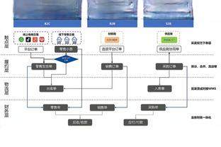 前蓝军中场：若就哈弗茨和柯蒂斯琼斯比较，我认为后者排名更靠前